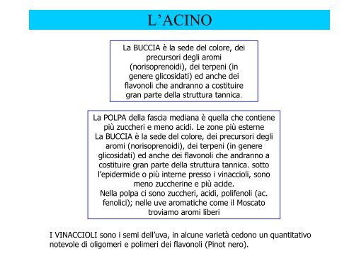 Enologia - Associazione Studenti di Agraria IAAS Sassari