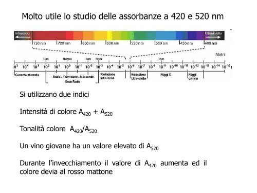 Enologia - Associazione Studenti di Agraria IAAS Sassari