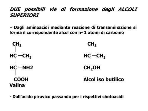 Enologia - Associazione Studenti di Agraria IAAS Sassari