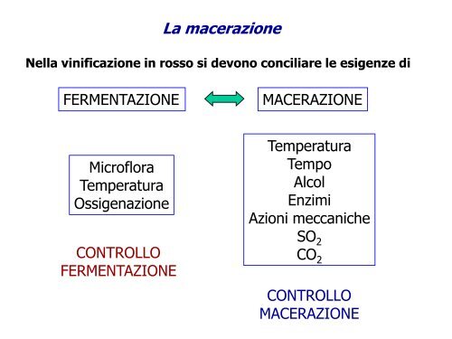 Enologia - Associazione Studenti di Agraria IAAS Sassari