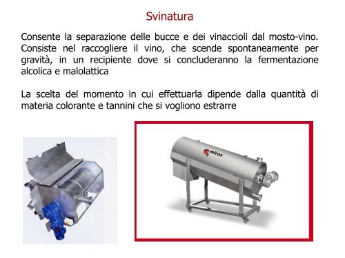 Enologia - Associazione Studenti di Agraria IAAS Sassari