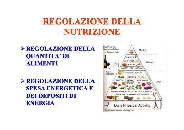 REGOLAZIONE DELLA REGOLAZIONE DELLA NUTRIZIONE