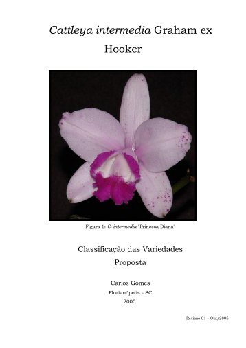 Cattleya intermedia – Classificação – (2005) - Orquidário Carlos ...