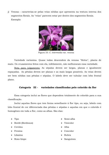 Cattleya intermedia – Classificação – (2005) - Orquidário Carlos ...