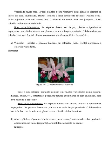 Cattleya intermedia – Classificação – (2005) - Orquidário Carlos ...