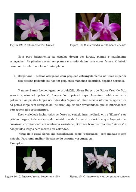 Cattleya intermedia – Classificação – (2005) - Orquidário Carlos ...