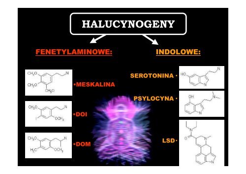 MECHANIZMY DZIAŁANIA ŚRODKÓW PSYCHOAKTYWNYCH