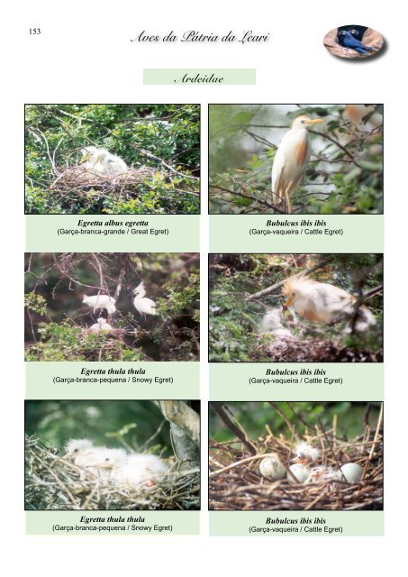 Aves da Pátria da Leari - Sociedade Brasileira de Ornitologia