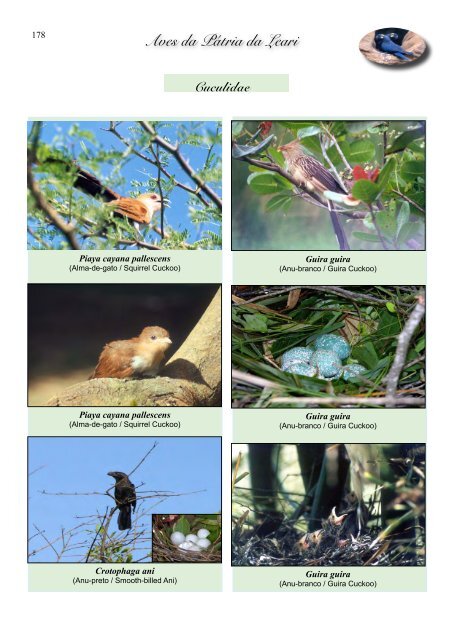 Aves da Pátria da Leari - Sociedade Brasileira de Ornitologia