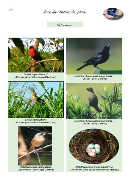 Aves da Pátria da Leari - Sociedade Brasileira de Ornitologia