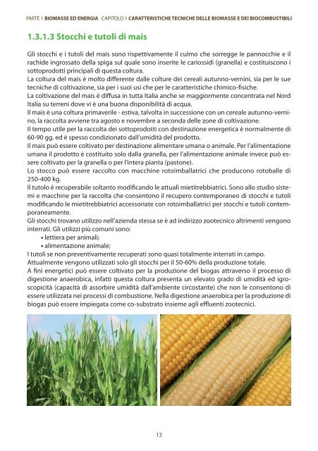 caratteristiche tecniche delle biomasse e dei biocombustibili - Enama