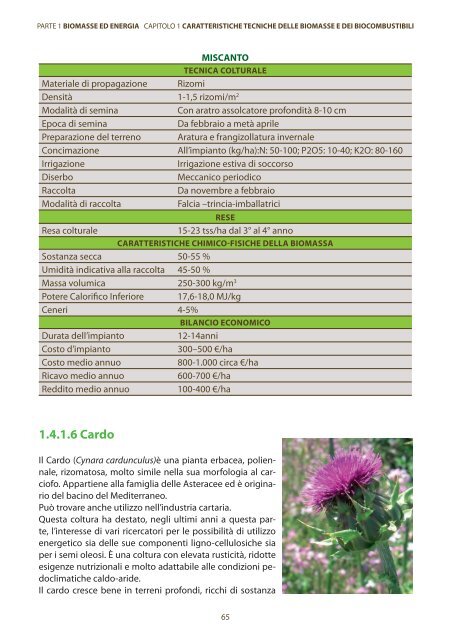 caratteristiche tecniche delle biomasse e dei biocombustibili - Enama