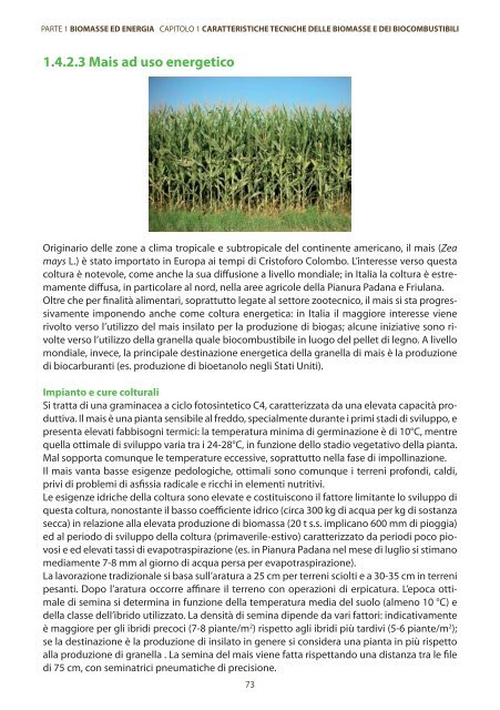 caratteristiche tecniche delle biomasse e dei biocombustibili - Enama