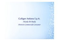 Culligan Italiana S.p.A. Nicola Di Paola - Ranieri Editore
