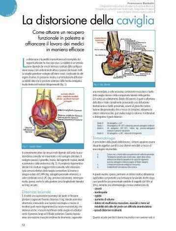 La distorsione della caviglia - La Palestra