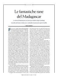 Le řantastiche rane del Madagascar - Franco Andreone