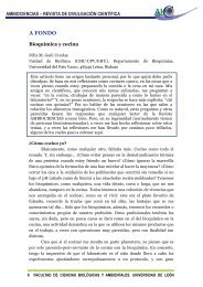 ACC.9.A Fondo.pdf - buleria - Universidad de León