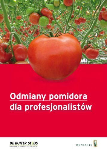 Odmiany pomidora dla profesjonalistów - De Ruiter Seeds