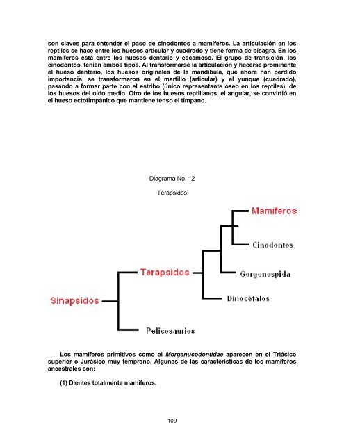 Teoría Evolutiva - Docentes.unal.edu.co - Universidad Nacional de ...