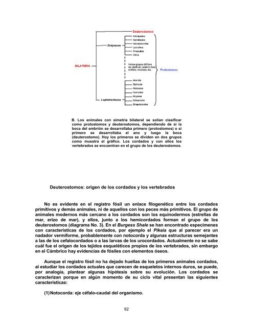 Teoría Evolutiva - Docentes.unal.edu.co - Universidad Nacional de ...