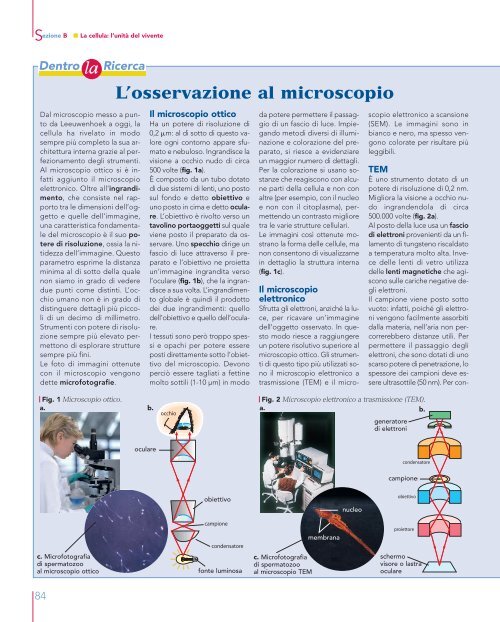 ALBERGHINA COVER_ABconf.indd - Mondadori Education