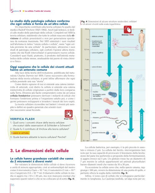 ALBERGHINA COVER_ABconf.indd - Mondadori Education