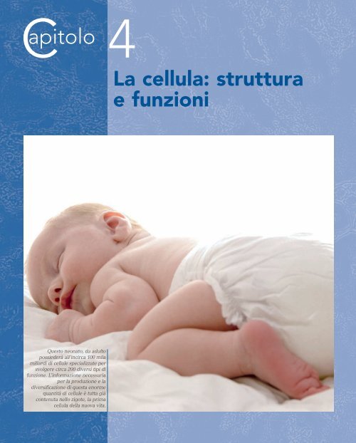 ALBERGHINA COVER_ABconf.indd - Mondadori Education