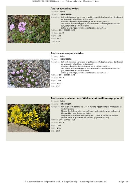 Alpine Planter - Rhodospecialisten.dk