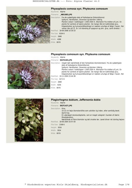 Alpine Planter - Rhodospecialisten.dk