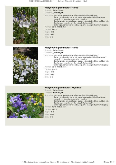 Alpine Planter - Rhodospecialisten.dk