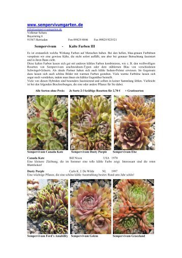 Sempervivum Kalte Farben Teil 3, kühle Färbungen bei Hauswurz