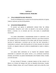 capitulo i formulacion del problema 1.1 titulo descriptivo