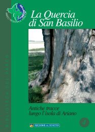 La Quercia di San Basilio - hosted by PolesineInnovazione.it