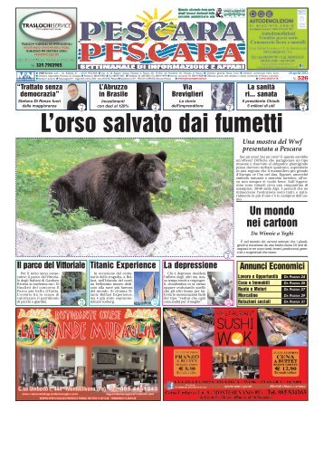 L'orso salvato dai fumetti - PescaraPescara.it