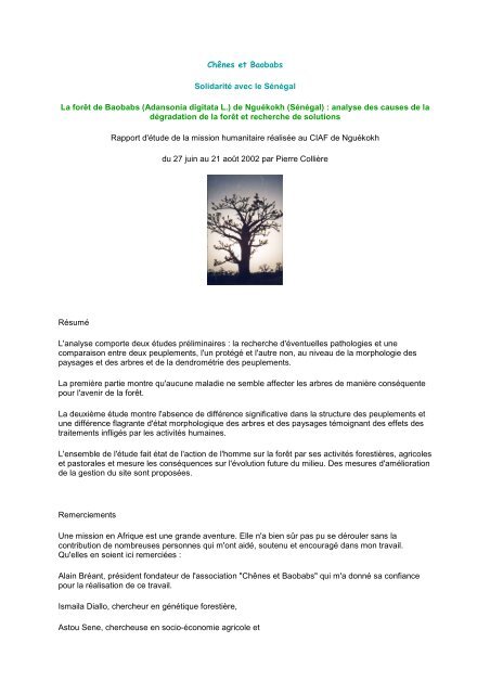 rapport pierre colliere - Chênes et Baobabs