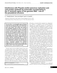 Interference with Physalis mottle tymovirus replication and coat ...