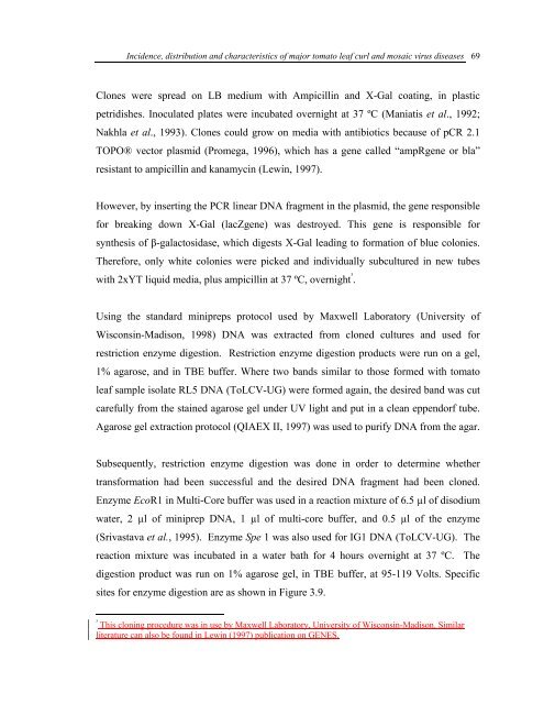 Incidence, Distribution and Characteristics of Major Tomato Leaf ...