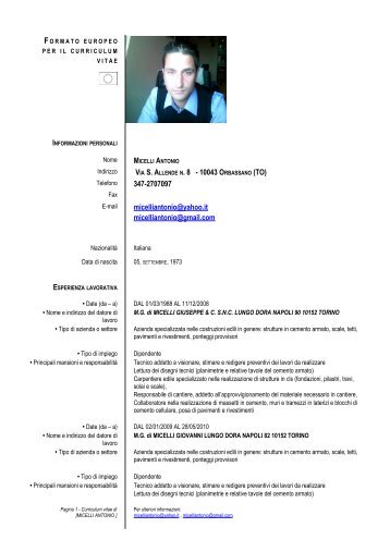 Scarica Il Curriculum
