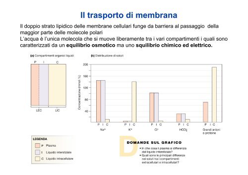 Trasport ioni e acqua.pdf