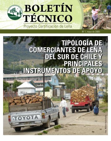 Tipología de Comerciantes de Leña - Agrupación de Ingenieros ...