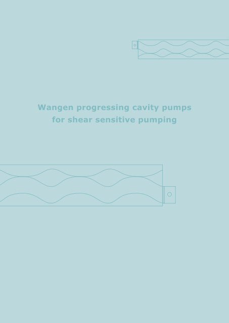 Progressing cavity pumps - Verder - Passion for pumps