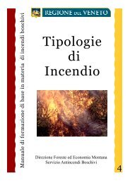 copertina tipologie di incendio.pub - Regione Veneto