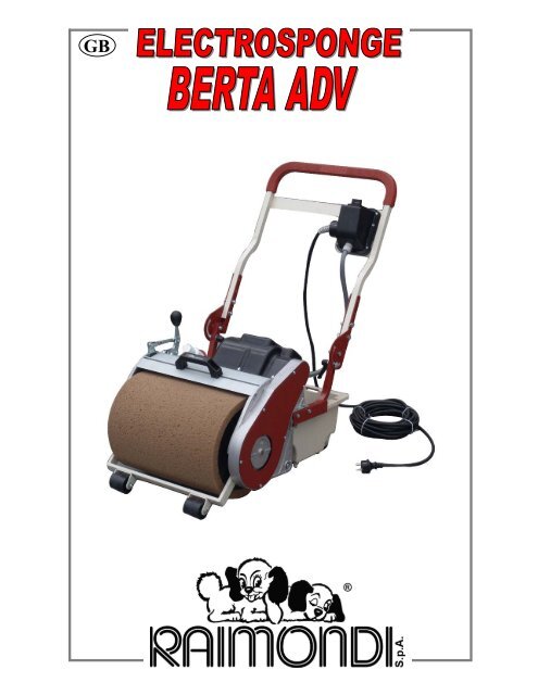 Raimondi Berta Grout Cleaning Machine