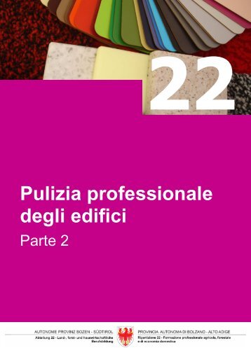 Pulizia professionale degli edifici - Fachschule für Hauswirtschaft ...