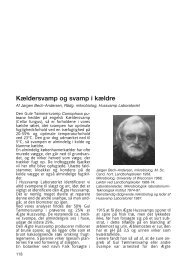 Artikel fra Servicehåndbogen 2005/06 - Hussvamp Laboratoriet ApS