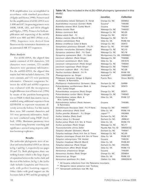 Molecular Phylogeny and Biodiversity of the Boletes