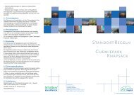 STAnDORTREGELn - InfraServ GmbH & Co. Knapsack KG