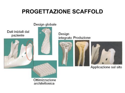 Scaffold biomimetici, Roma - carlo santulli home page