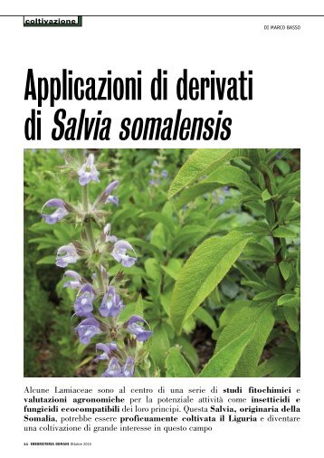 Applicazioni di derivati di Salvia somaliensis - Istituto Sperimentale ...