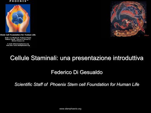 Cellule Staminali - Phoenix Stem Cell Foundation
